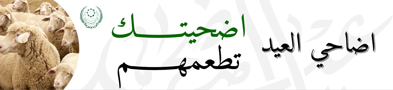 جمعية مضر الخيرية للخدمات الاجتماعية بالقديح